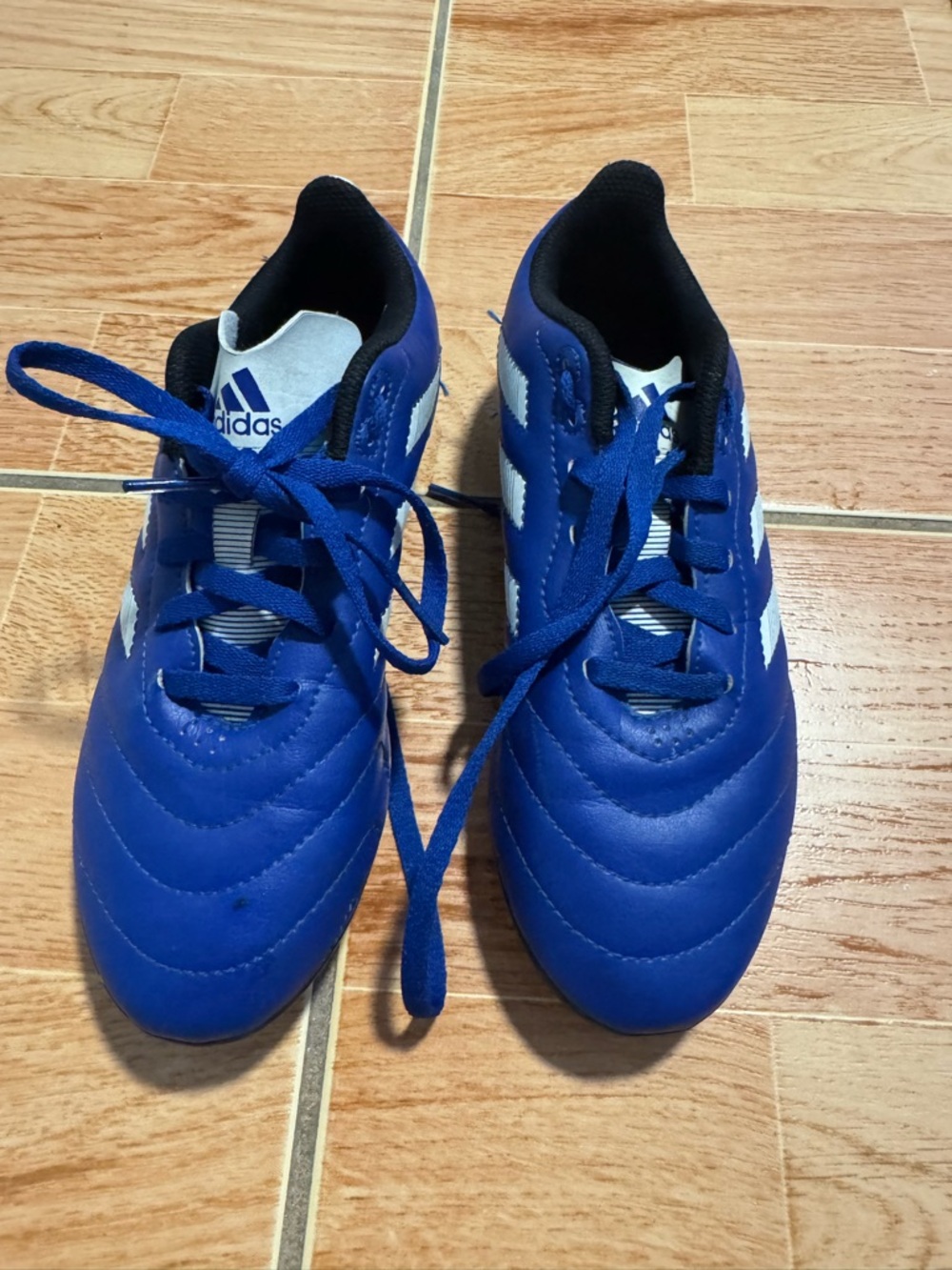 adidas Kids Royal Blue and White Soccer Sneakers